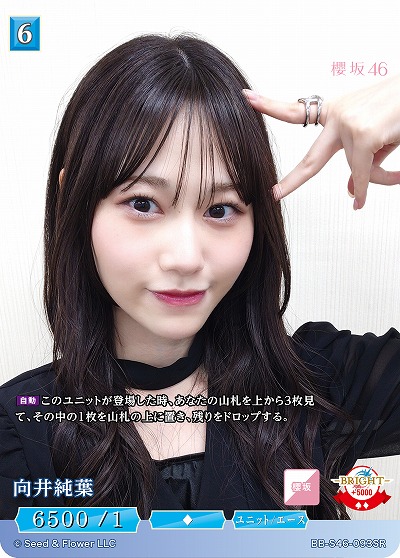 向井純葉 【BB-S46-093SR】